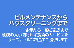 �r�������e�i���X����n�E�X�N���[�j���O�܂�